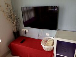 Spring @ Langsat (D15), Apartment #477274811